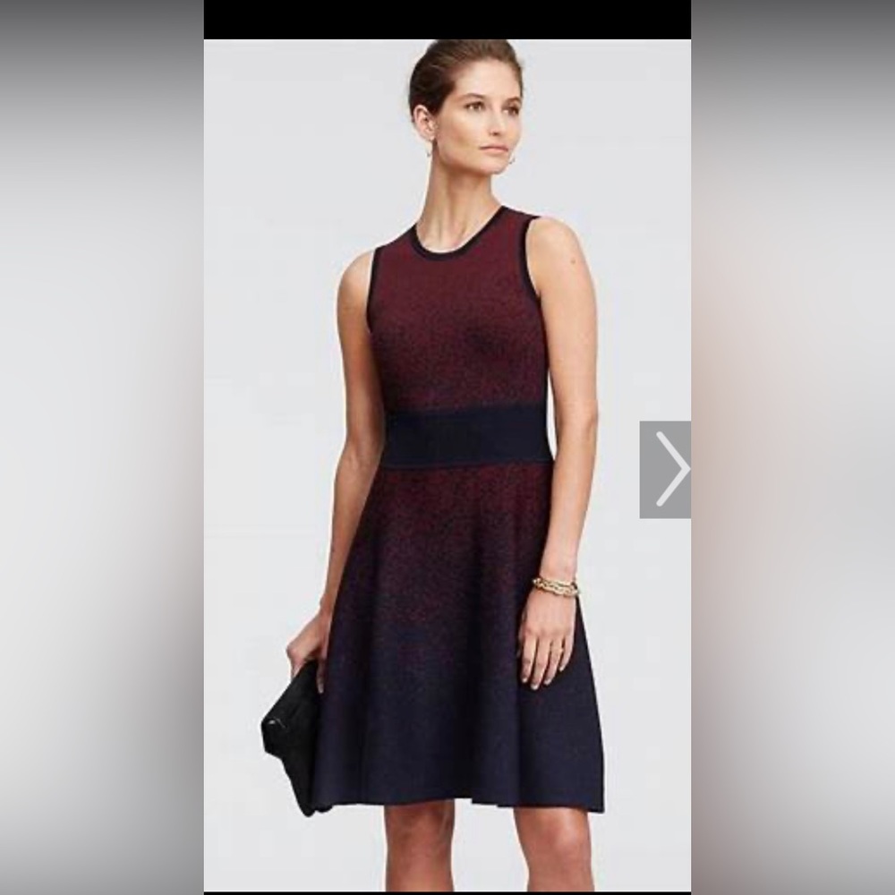 Anne Taylor sleeveless sweater dress